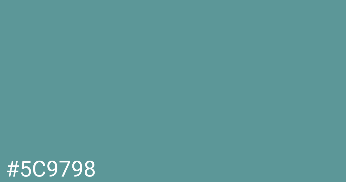 Hex color #5c9798 graphic