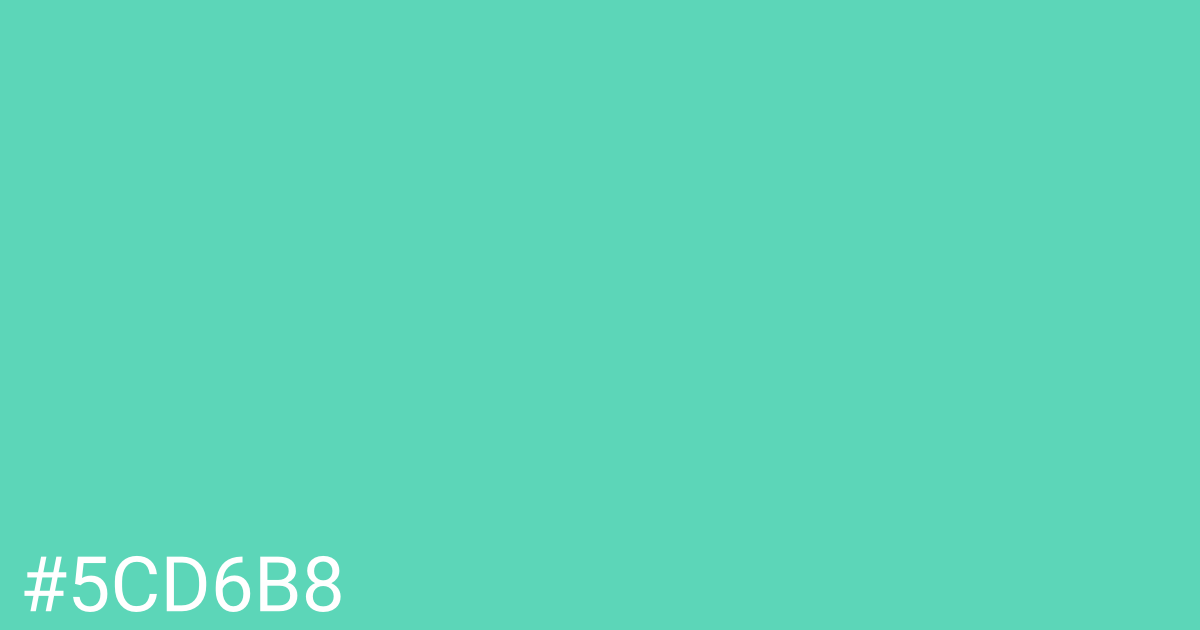 Hex color #5cd6b8 graphic