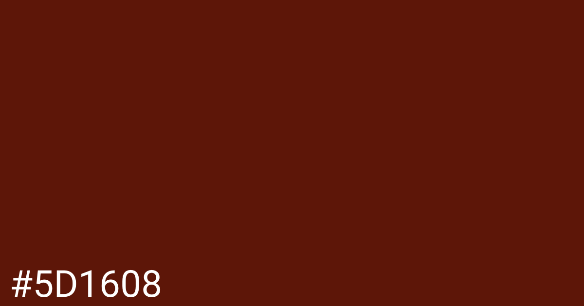 Hex color #5d1608 graphic