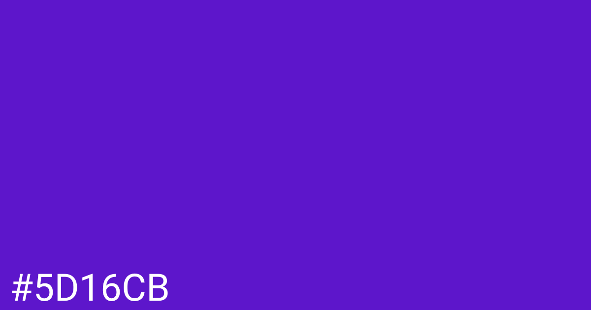 Hex color #5d16cb graphic