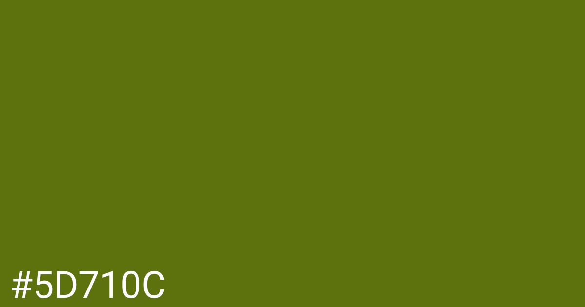 Hex color #5d710c graphic