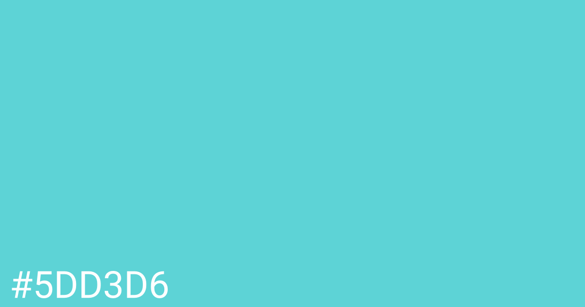 Hex color #5dd3d6 graphic
