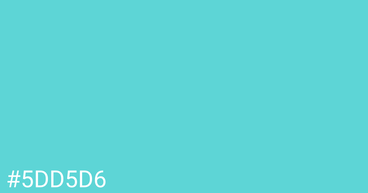 Hex color #5dd5d6 graphic