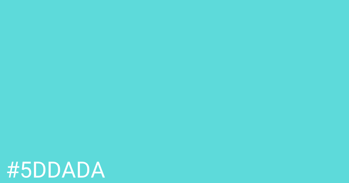 Hex color #5ddada graphic