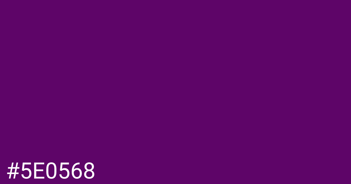 Hex color #5e0568 graphic
