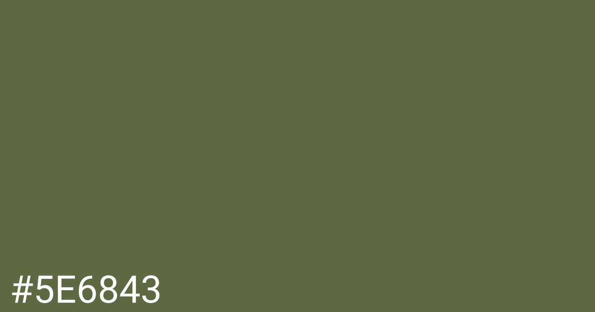 Hex color #5e6843 graphic