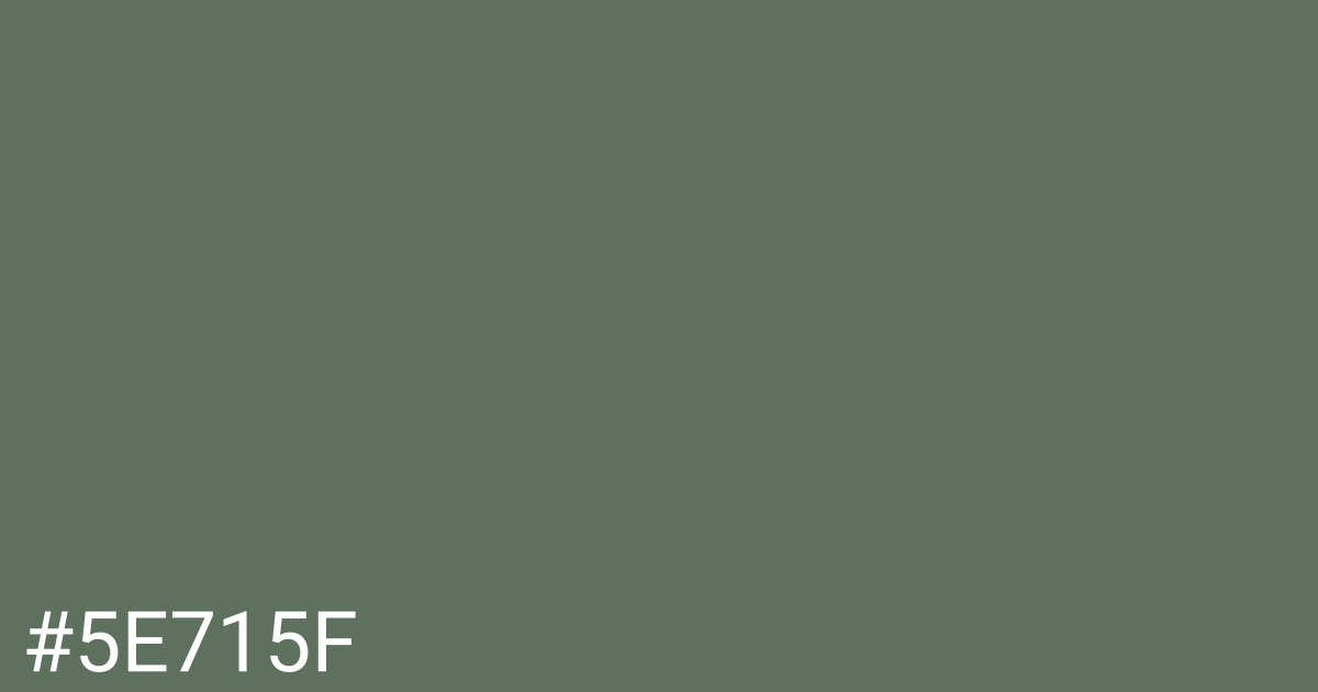 Hex color #5e715f graphic