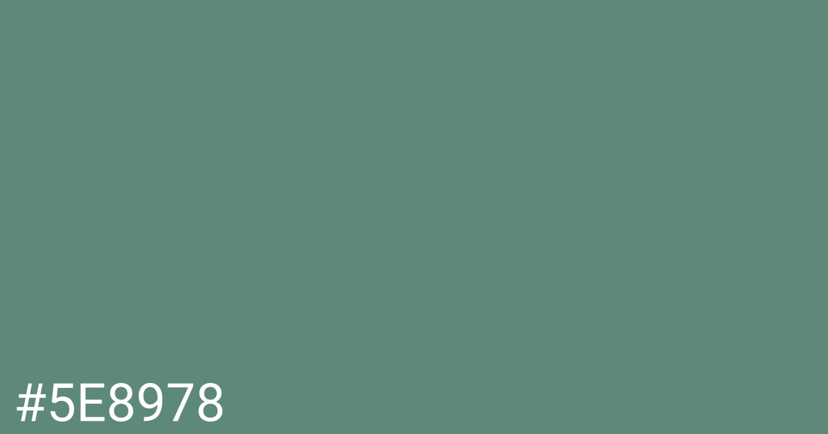 Hex color #5e8978 graphic