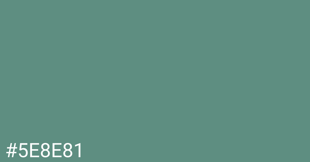 Hex color #5e8e81 graphic