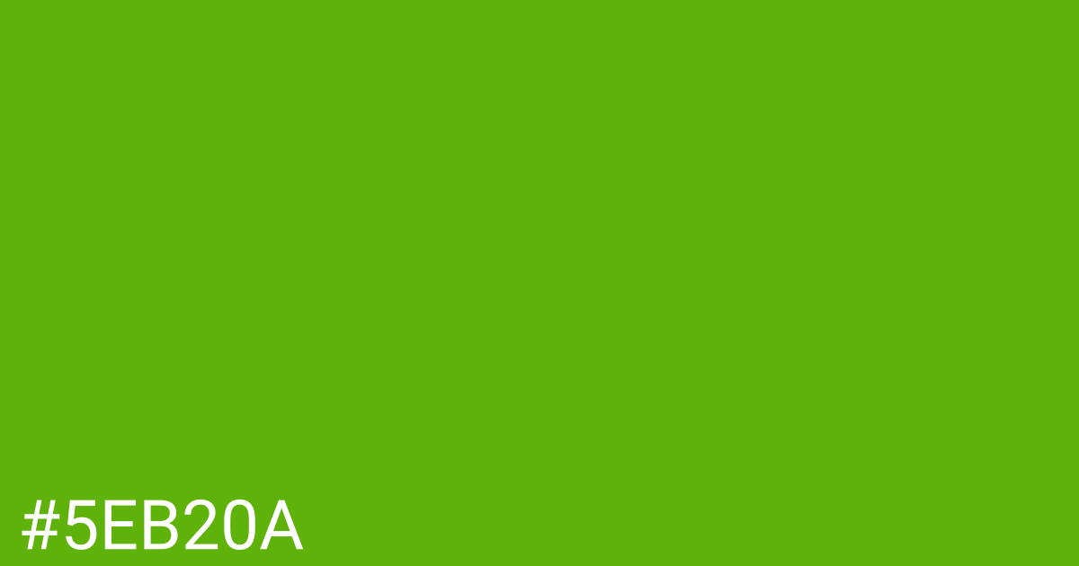 Hex color #5eb20a graphic