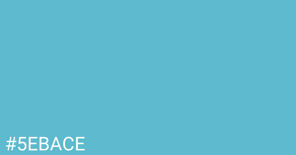 Hex color #5ebace graphic