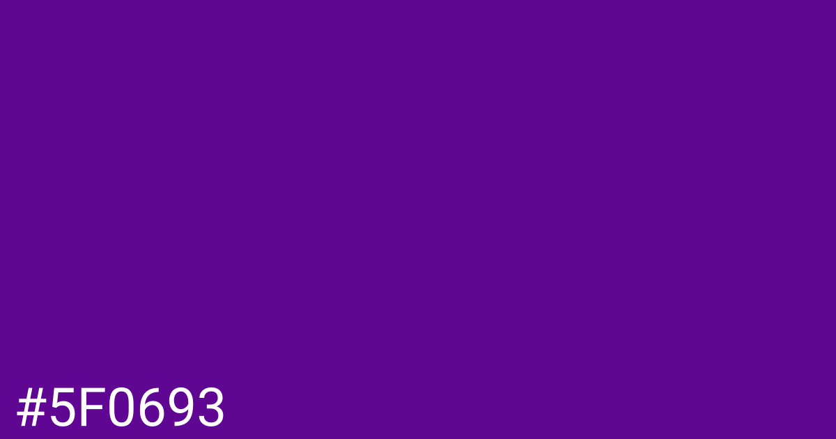 Hex color #5f0693 graphic