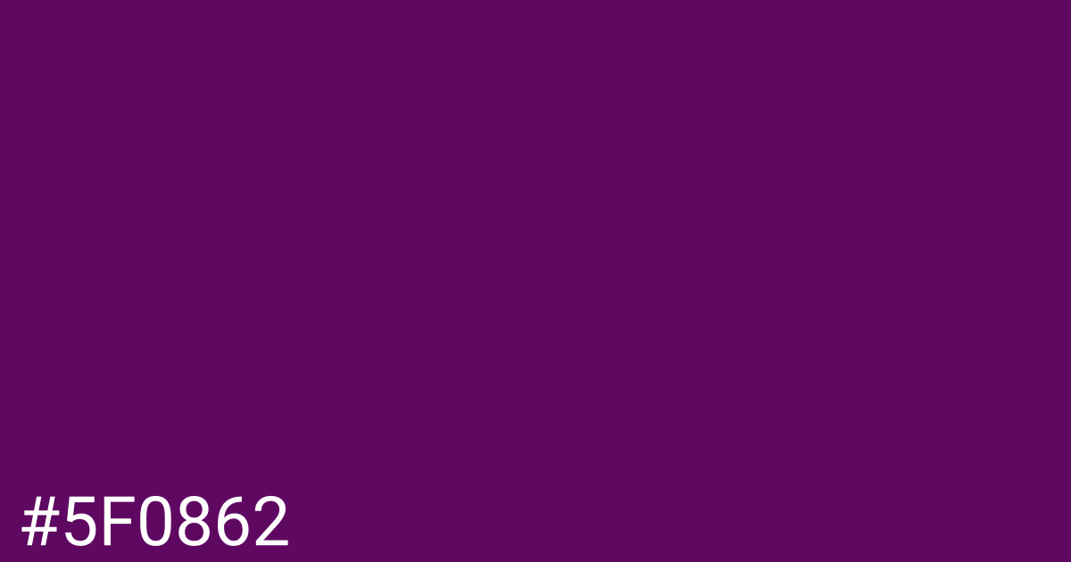 Hex color #5f0862 graphic