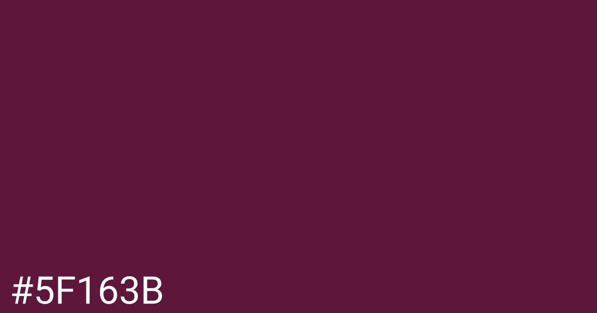 Hex color #5f163b graphic