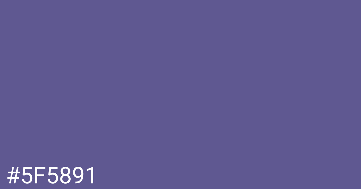 Hex color #5f5891 graphic
