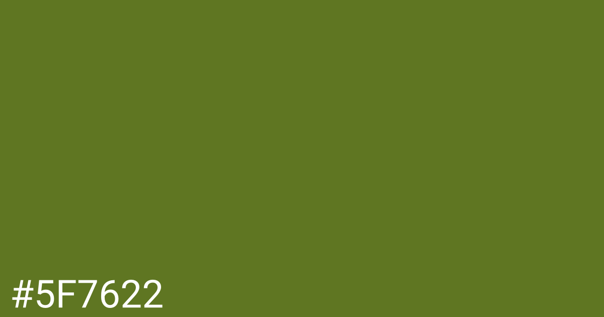 Hex color #5f7622 graphic