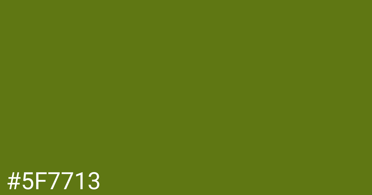 Hex color #5f7713 graphic