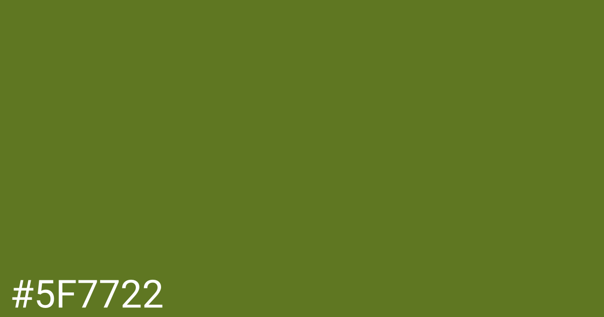 Hex color #5f7722 graphic