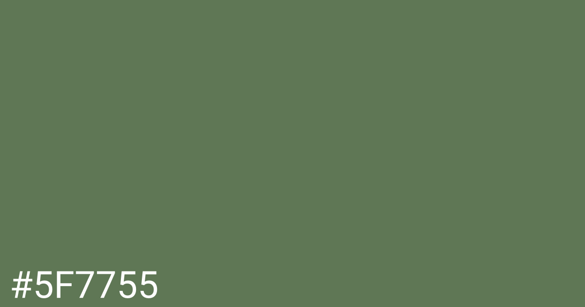 Hex color #5f7755 graphic