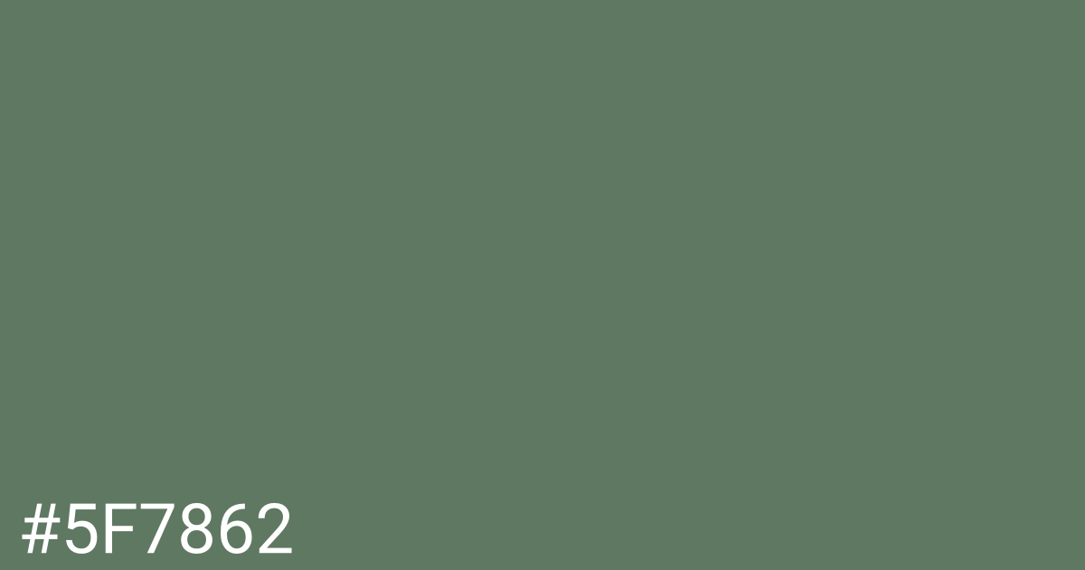 Hex color #5f7862 graphic