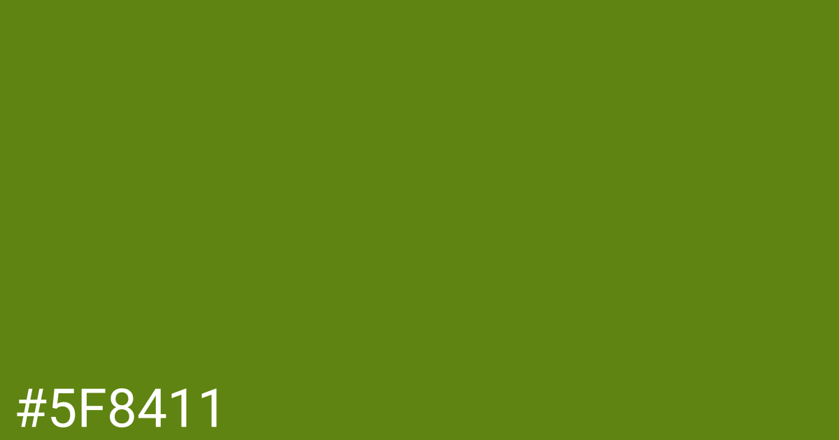 Hex color #5f8411 graphic