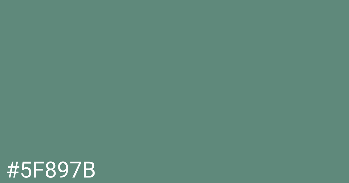 Hex color #5f897b graphic