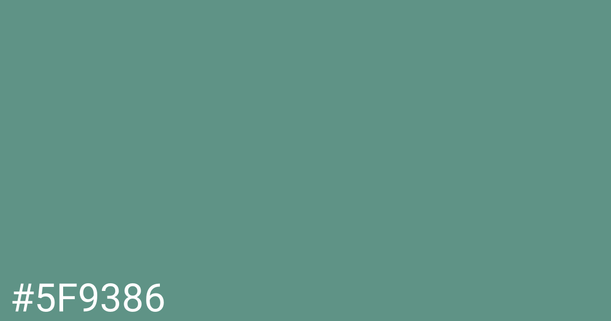 Hex color #5f9386 graphic