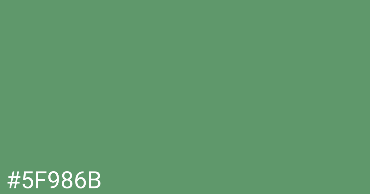 Hex color #5f986b graphic