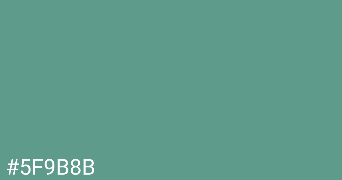 Hex color #5f9b8b graphic