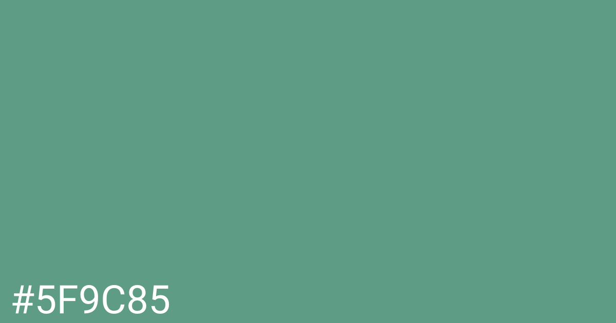 Hex color #5f9c85 graphic