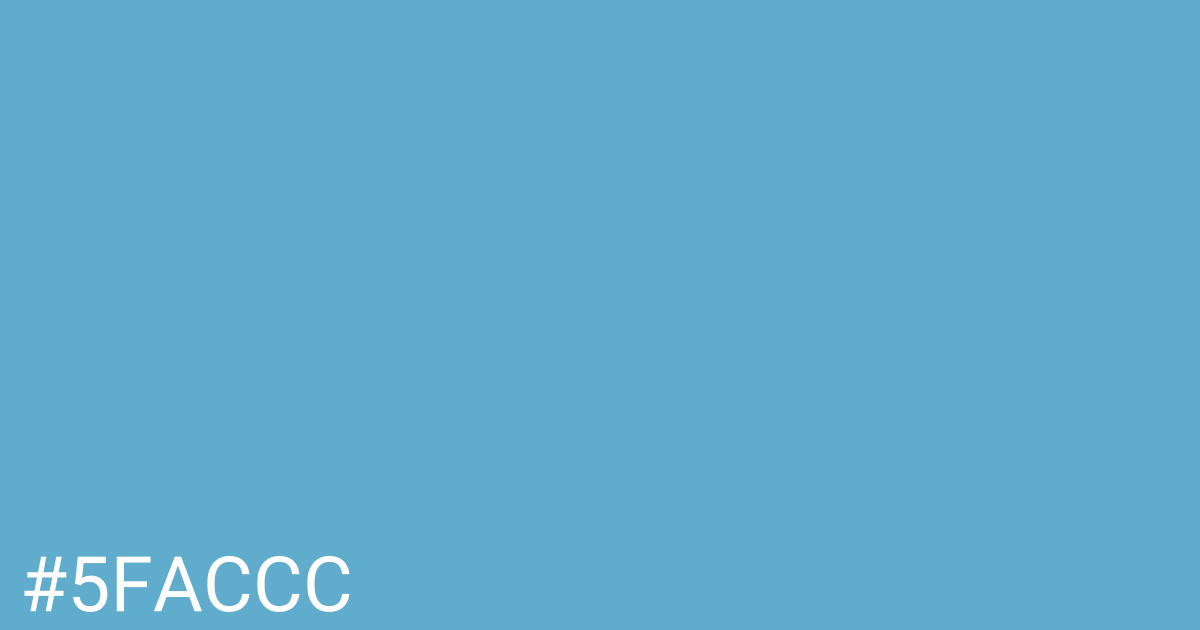 Hex color #5faccc graphic