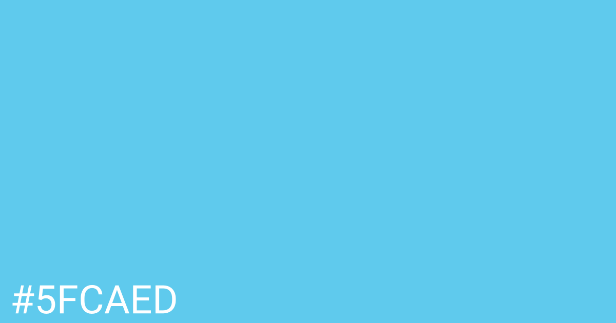 Hex color #5fcaed graphic