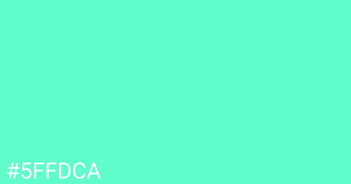 Hex color #5ffdca graphic