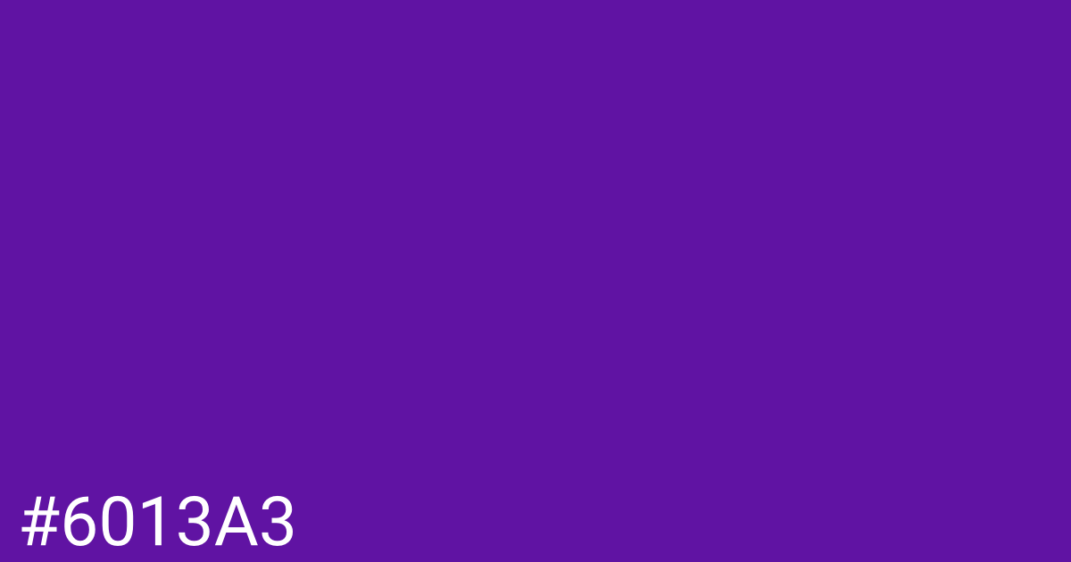 Hex color #6013a3 graphic