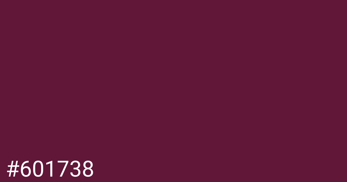 Hex color #601738 graphic