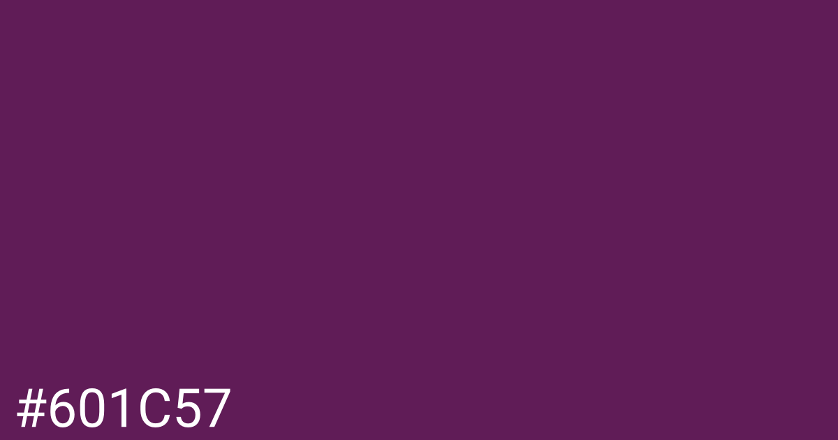 Hex color #601c57 graphic