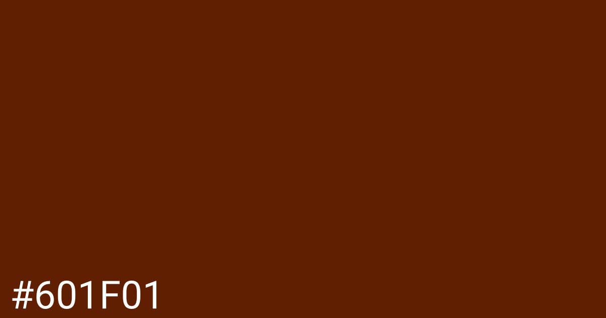 Hex color #601f01 graphic