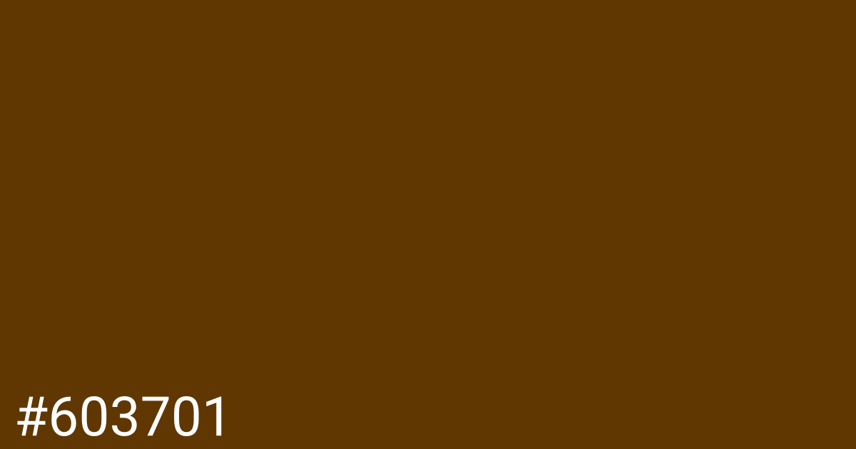 Hex color #603701 graphic