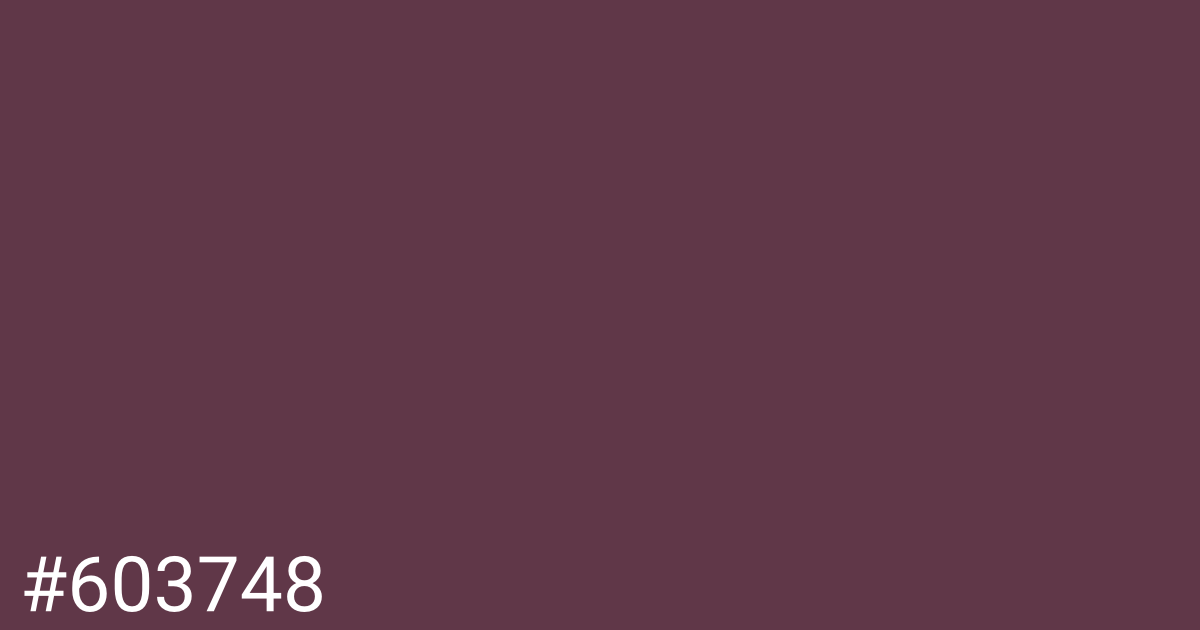 Hex color #603748 graphic