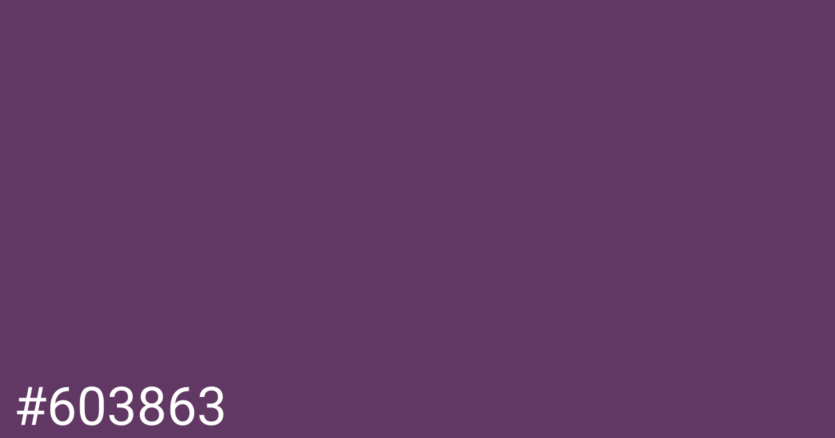 Hex color #603863 graphic