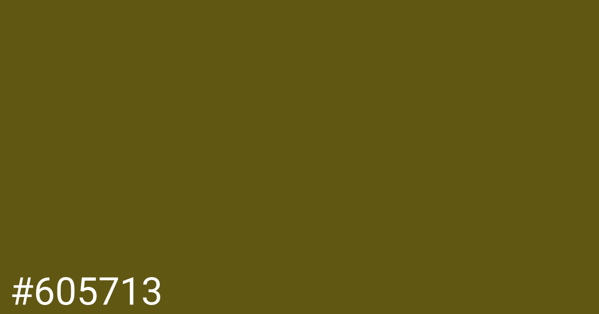 Hex color #605713 graphic