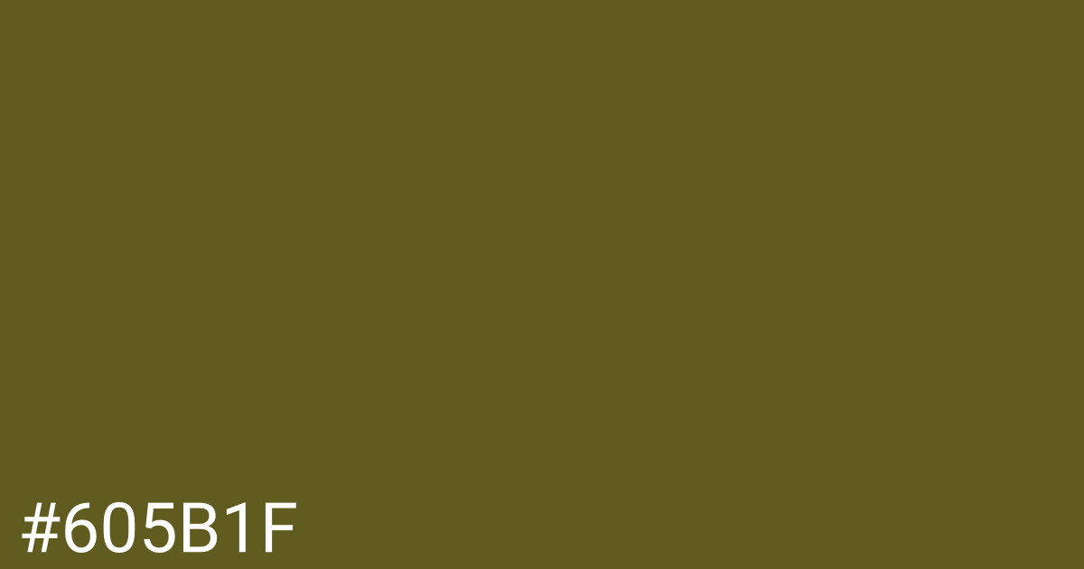 Hex color #605b1f graphic