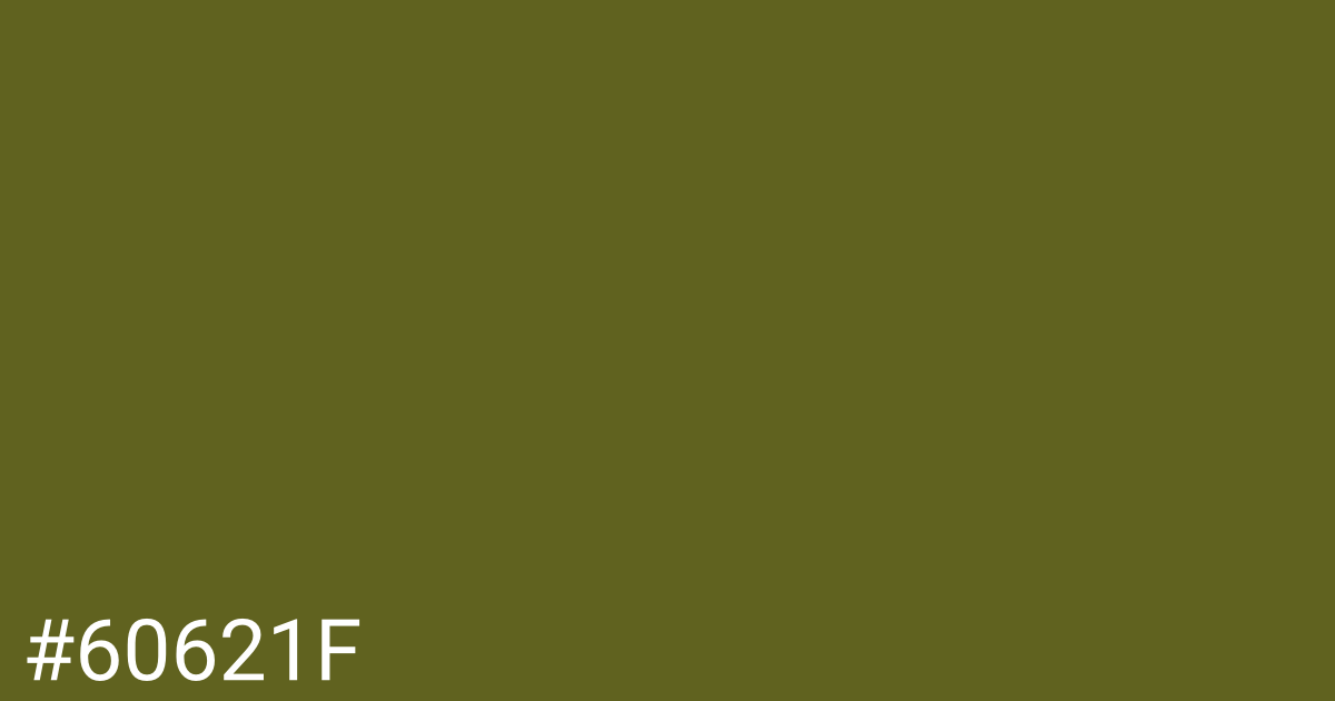 Hex color #60621f graphic