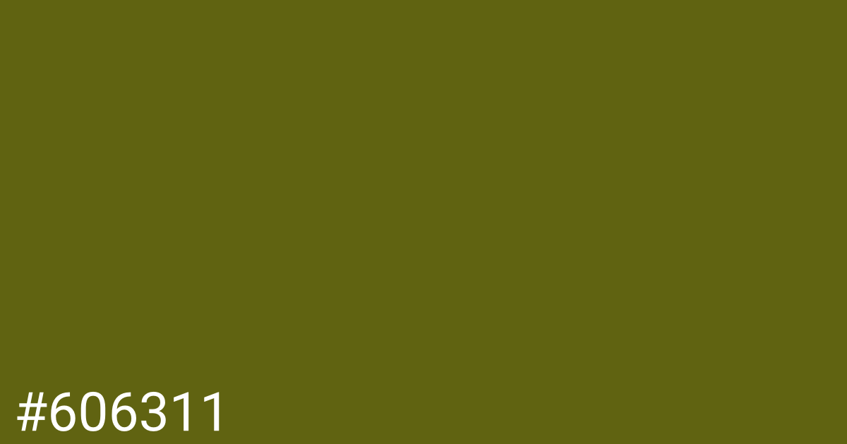Hex color #606311 graphic
