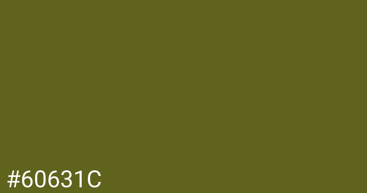 Hex color #60631c graphic