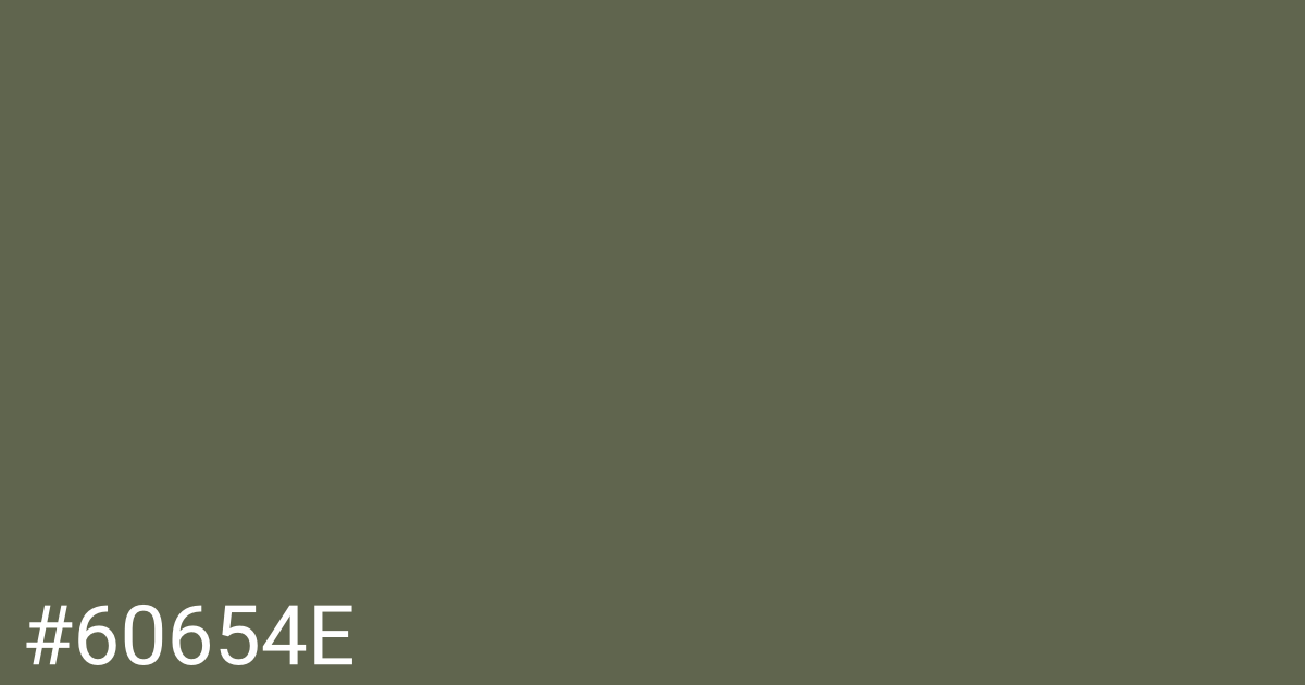 Hex color #60654e graphic