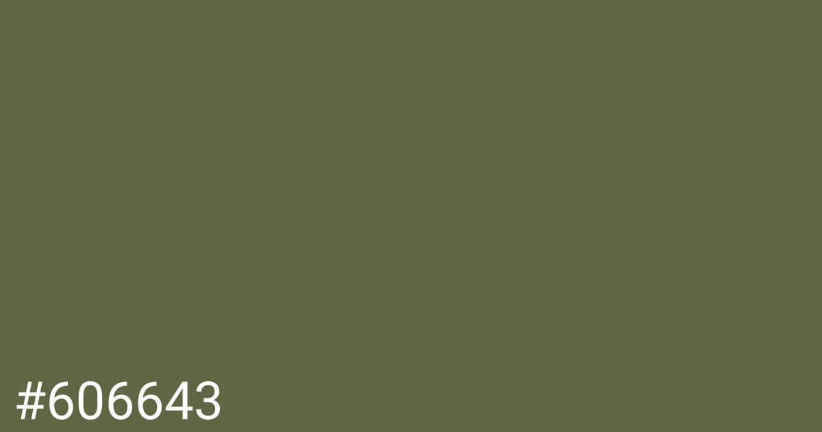 Hex color #606643 graphic