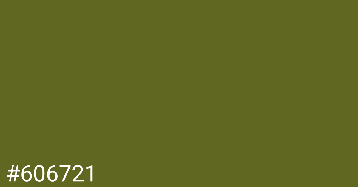 Hex color #606721 graphic