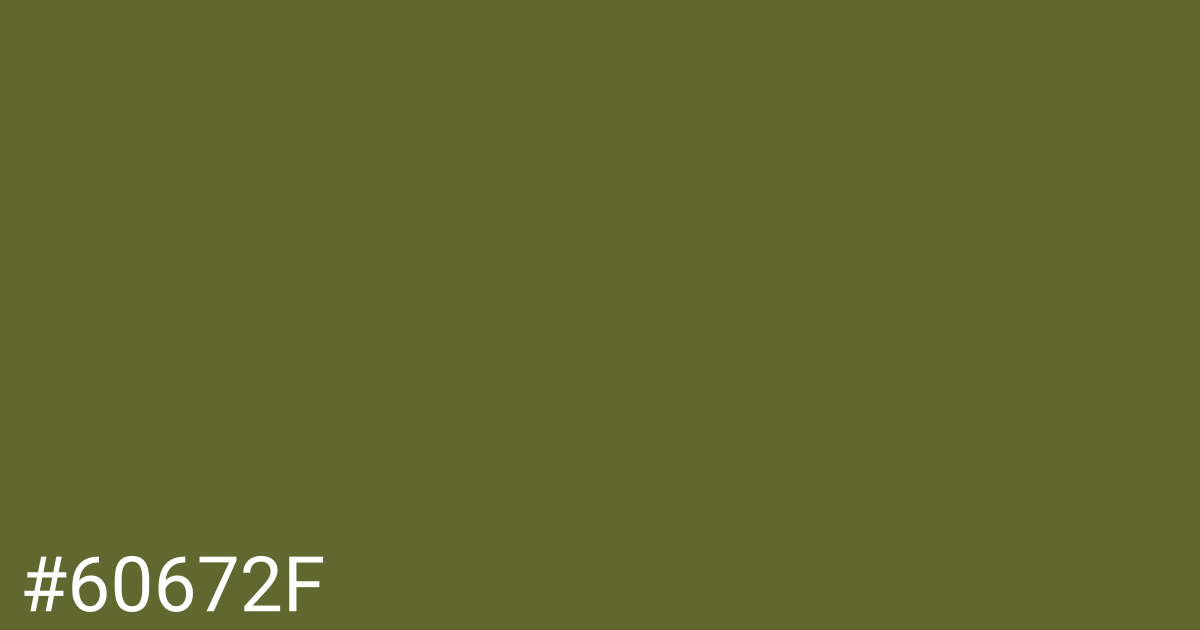 Hex color #60672f graphic