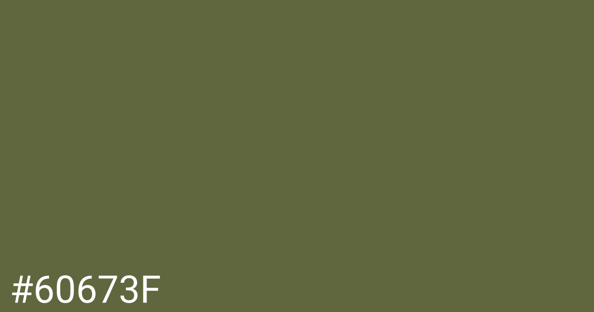 Hex color #60673f graphic